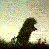 Eratorn