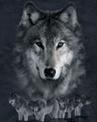 WolfWar